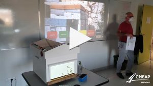 vudeo ruche pédagogique