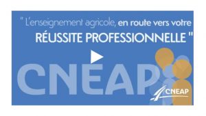 webinaire cNEAP
