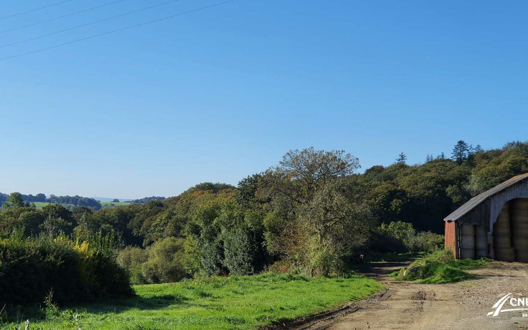 Ferme laitière bas carbone de l’École Le Nivot