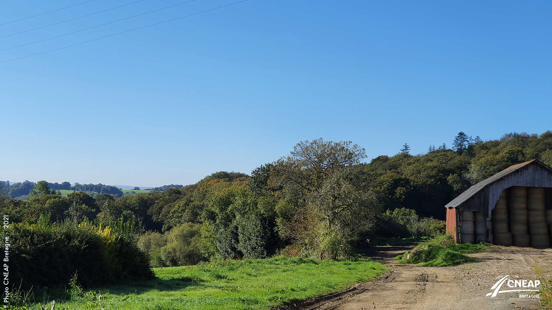 2021-10-14lenivot-ferme-laitiere-bas-carbone-3