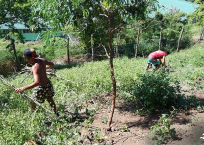Mise en place de parcs à chèvres en pâturage local