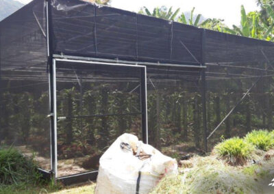 les serres de vanille