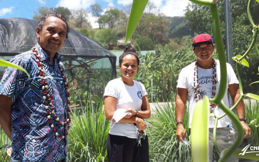 Les actualités marquisiennes