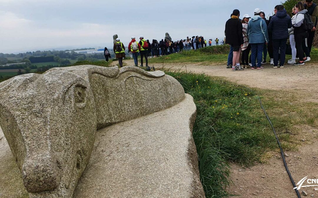 Des racines pour demain