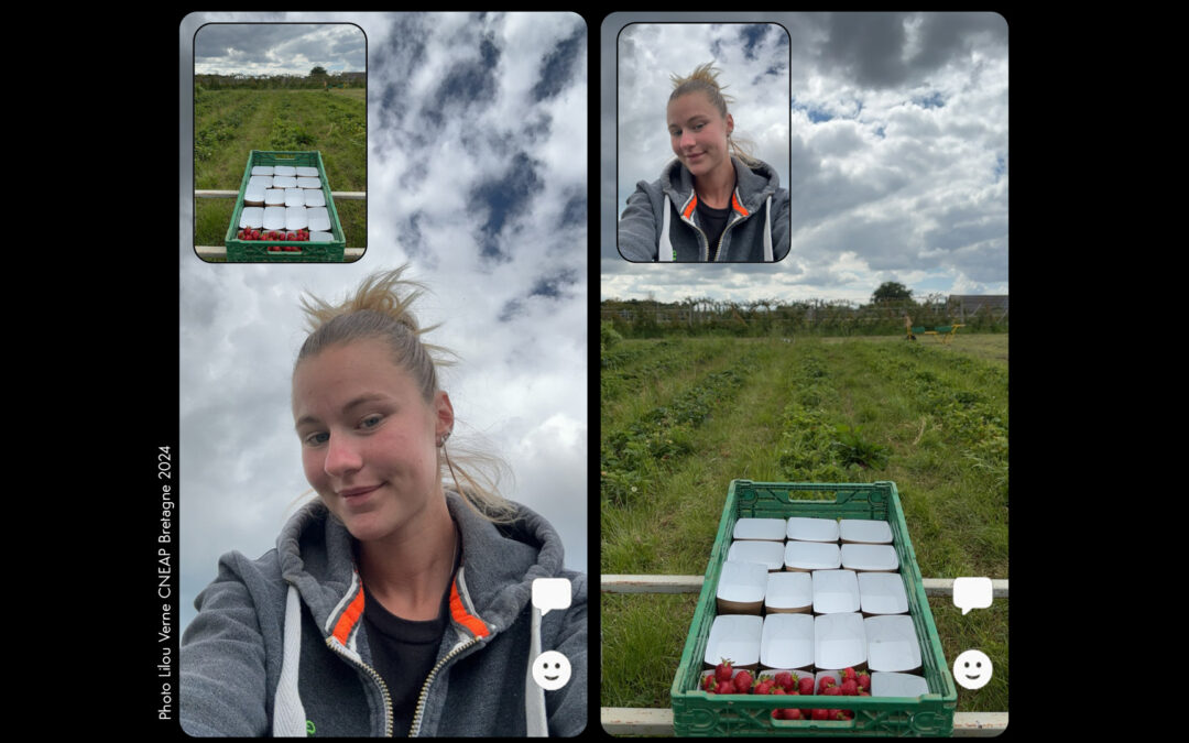 MAF : l’or pour Lilou Verne