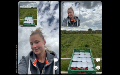 MAF : l’or pour Lilou Verne